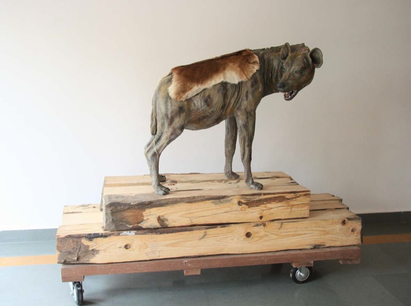 Contemporary artist Bharti Kher bharti-kher-14848_1