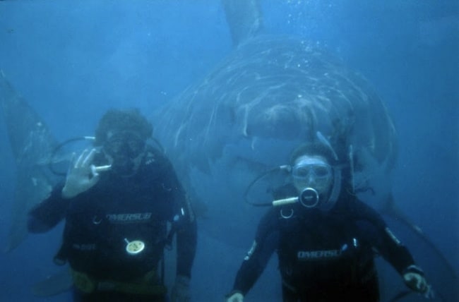 Series of photos "One second before" 5704055-r3l8t8d-650-shark-week-discovery-banned-in-hollywood-08
