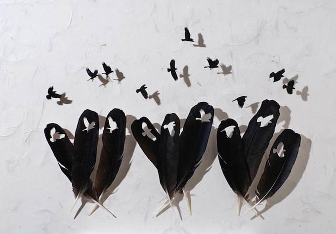 Artist Chris Maynard Creates Art Objects of Bird Feathers chrismaynard2