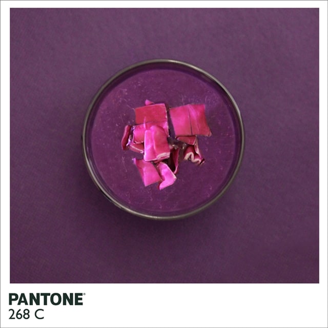 Pantone-Food4