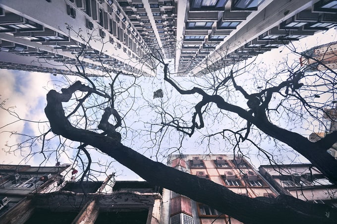 Vertical Horizon of Hong Kong by Romain Jacquet-Lagreze romainjacquet-lagreze10