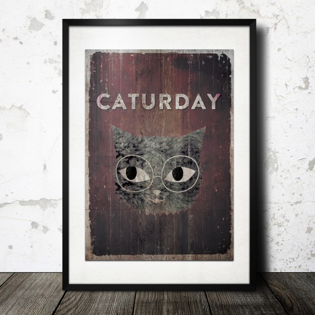 Enjoy the caturday caturday