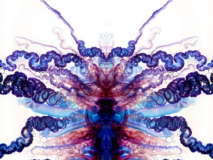 Jellyfish Art by Aaron Ansarov owar__02