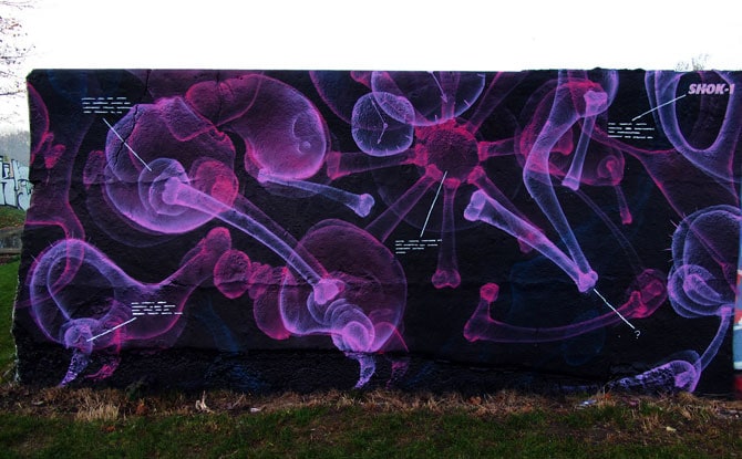 Street art by Shok Oner 21
