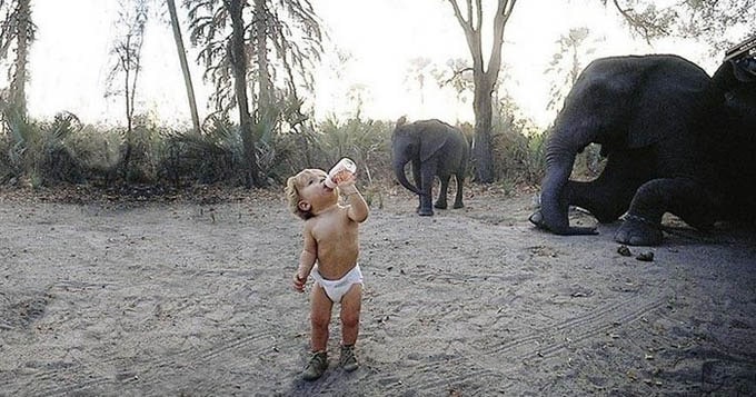 Tippi Degre little girl who grew up with Africa's wild animals 339623_original