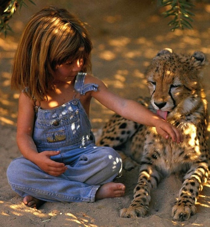 Tippi Degre little girl who grew up with Africa's wild animals 340974_original
