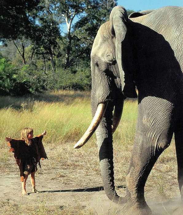 Tippi Degre little girl who grew up with Africa's wild animals 341532_original