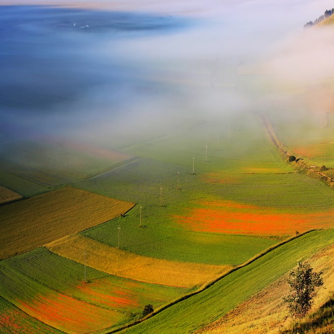 edmondosenatore11