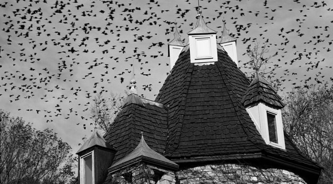 Photographer John Urbano johnurbano44