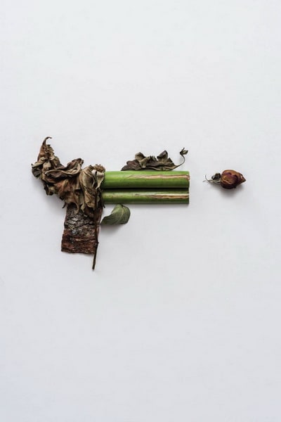 Harmless Weapons Made of Plants by Sonia Rentsch weapons-made-of-plants3-640x961