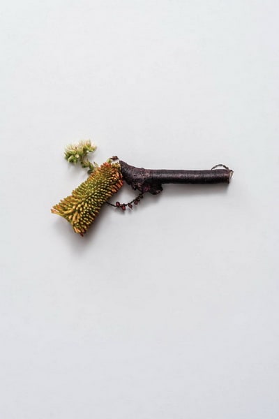 weapons-made-of-plants3-640x962