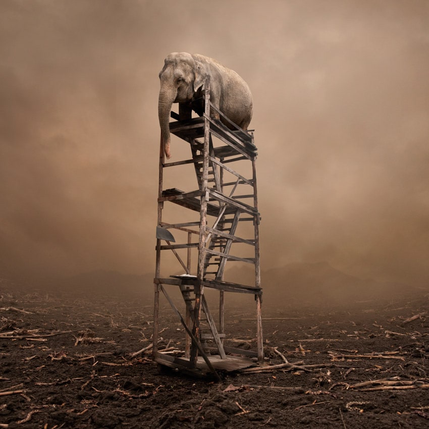 Photo Manipulation Photographer Caras Ionut dsc9942_sm