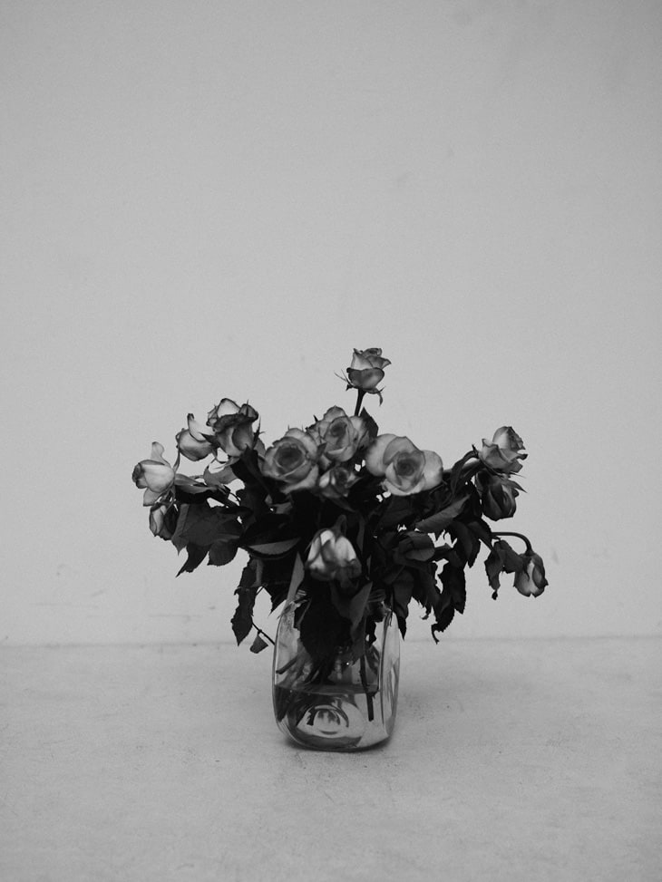 Dawid & Inka for Design Scene dawid-inka-cristina-capucci-design-scene-09