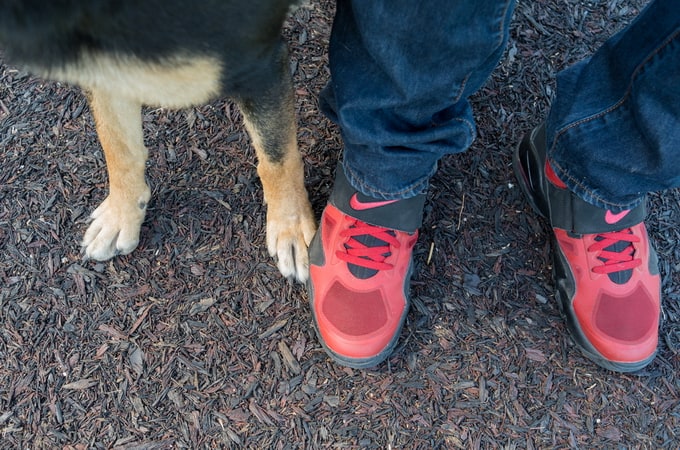 "Feet & Paws" by Alex Beker feet&paws04