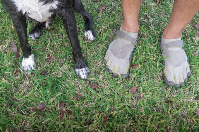 "Feet & Paws" by Alex Beker feet&paws07