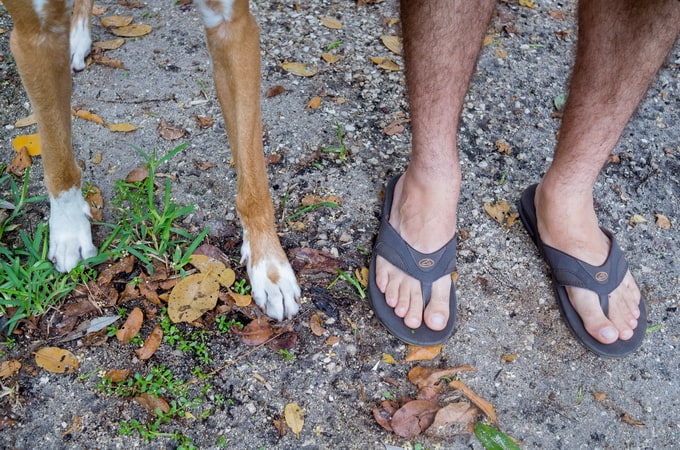 feet&paws12