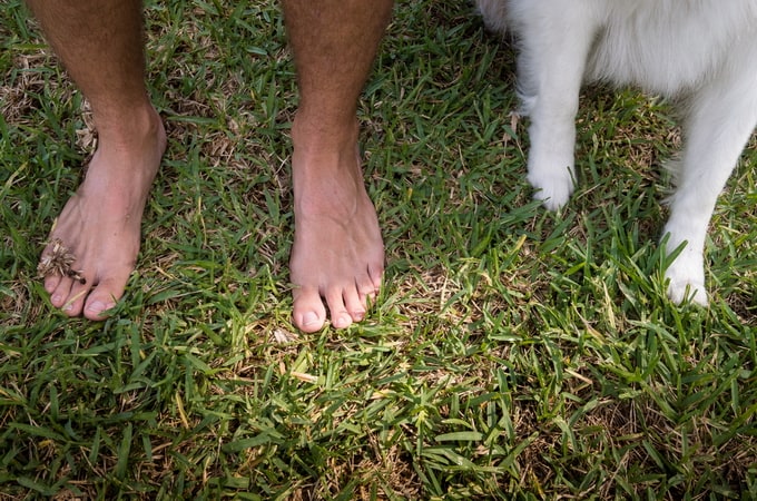 feet&paws13