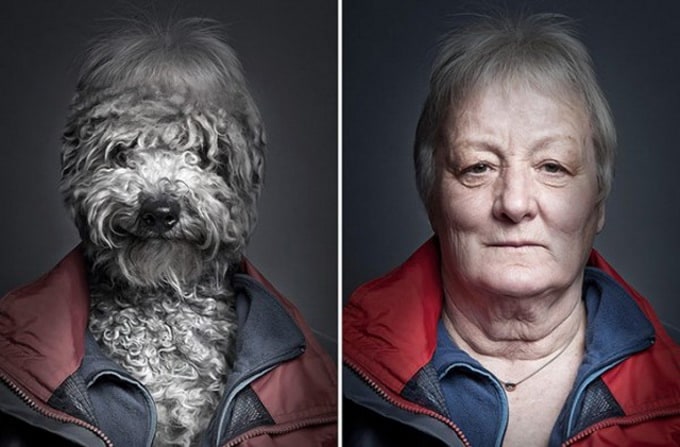 Dogs-Dressing-Up-Like-Their-Owners2-640x425