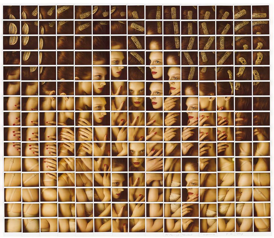 575584_192670934223511_16947_n