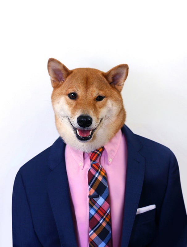 mensweardog6