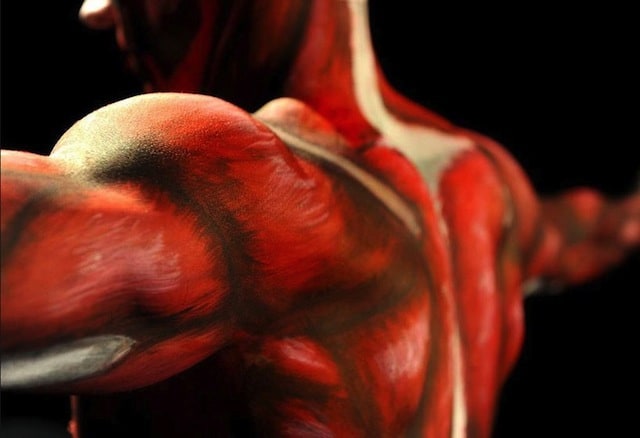 anatomical-man-rmit-03