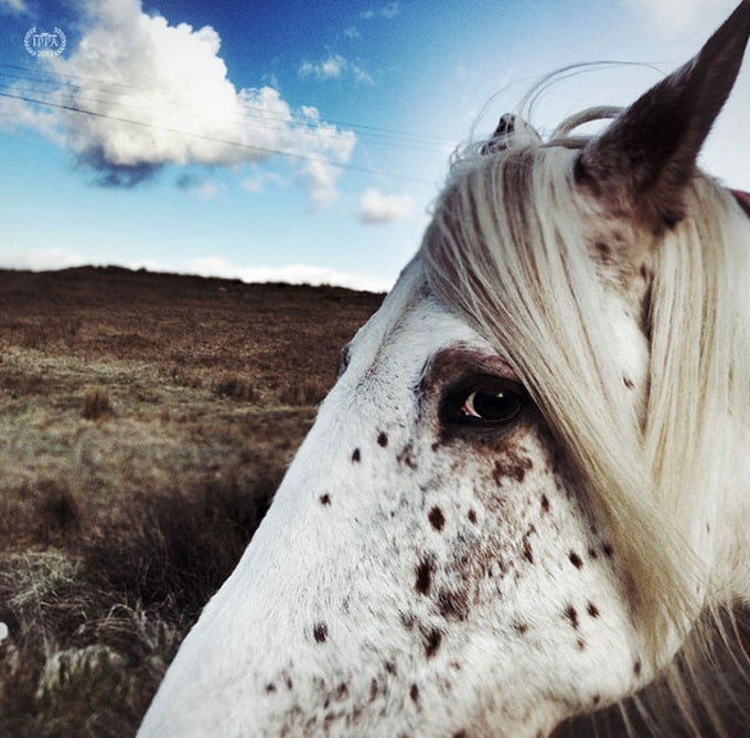 iPhone Photography Awards - 2013 ippa1-640x495