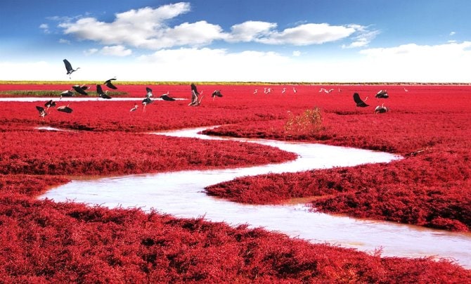 The Most Unbelievable Places in the World red-beach-china