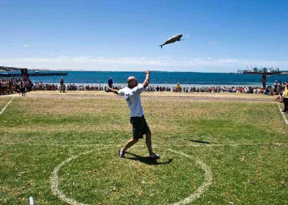 tuna-throwing-festival