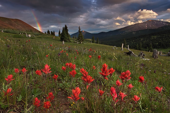 Amazing landscapes by Nate Zeman golden memories