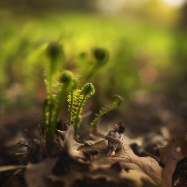 of-springtimes-past-by-fiddle-oak
