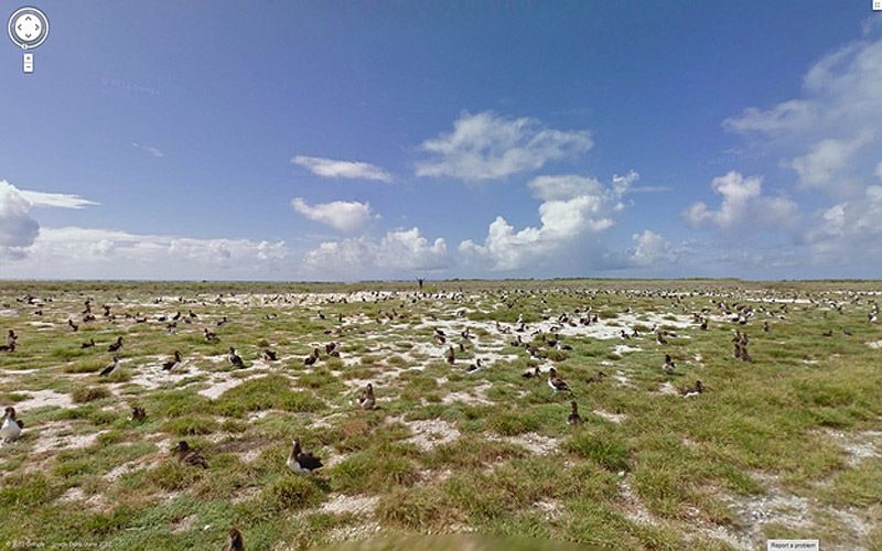 midway islands, usa