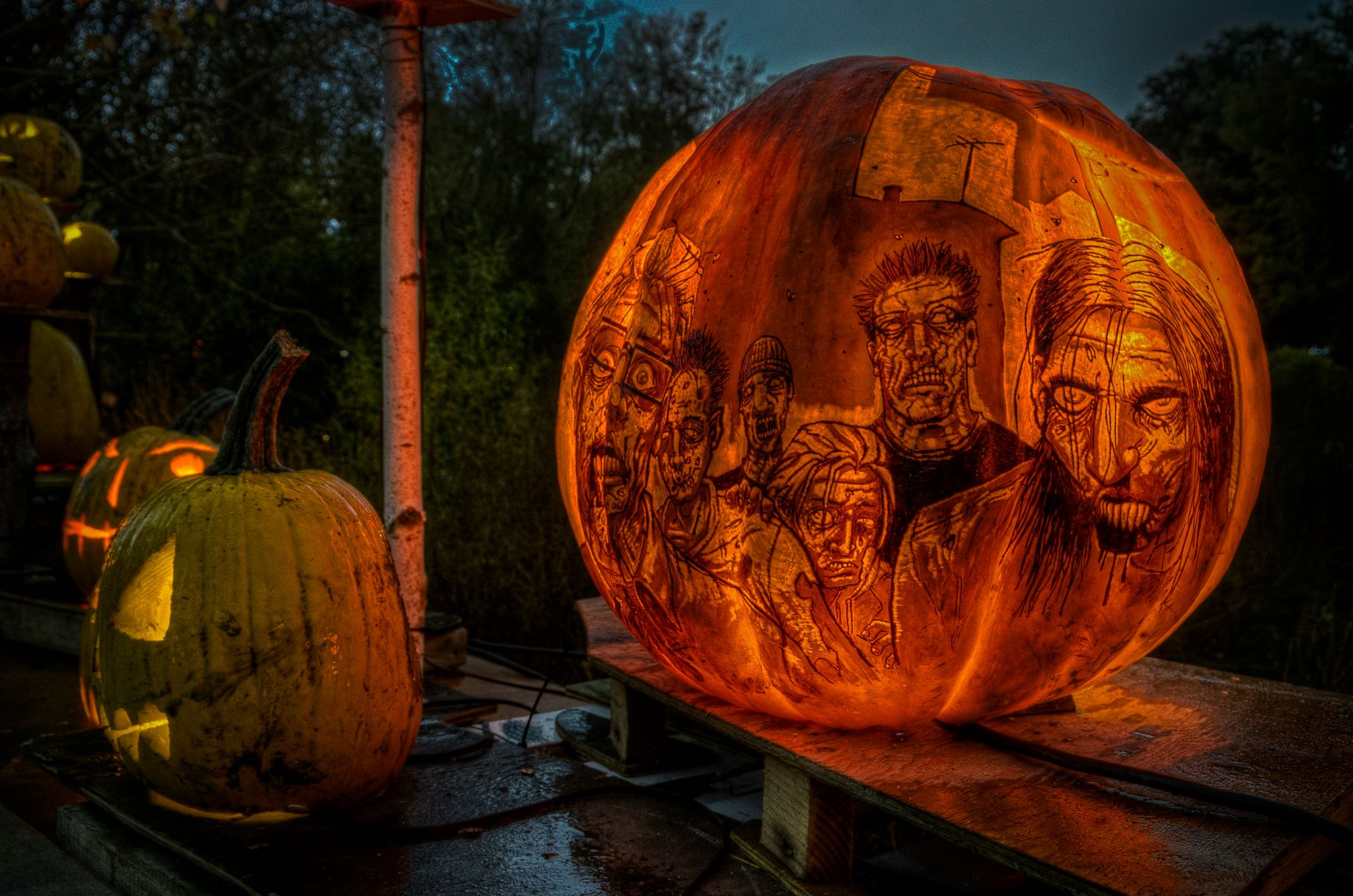 Halloween Pumpkin Art 2013 176656_10151250539452318_2114289401_o