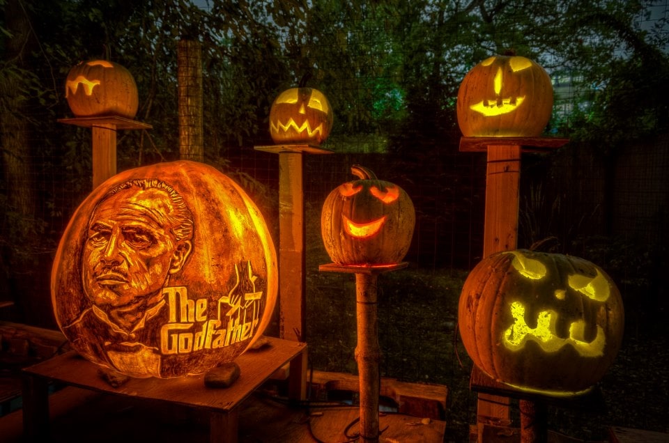 Halloween Pumpkin Art 2013 190371_10151251884027318_399073381_n