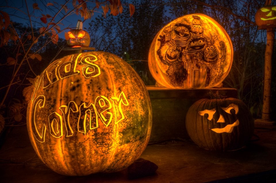 Halloween Pumpkin Art 2013 23929_10151275654487318_1614810102_n