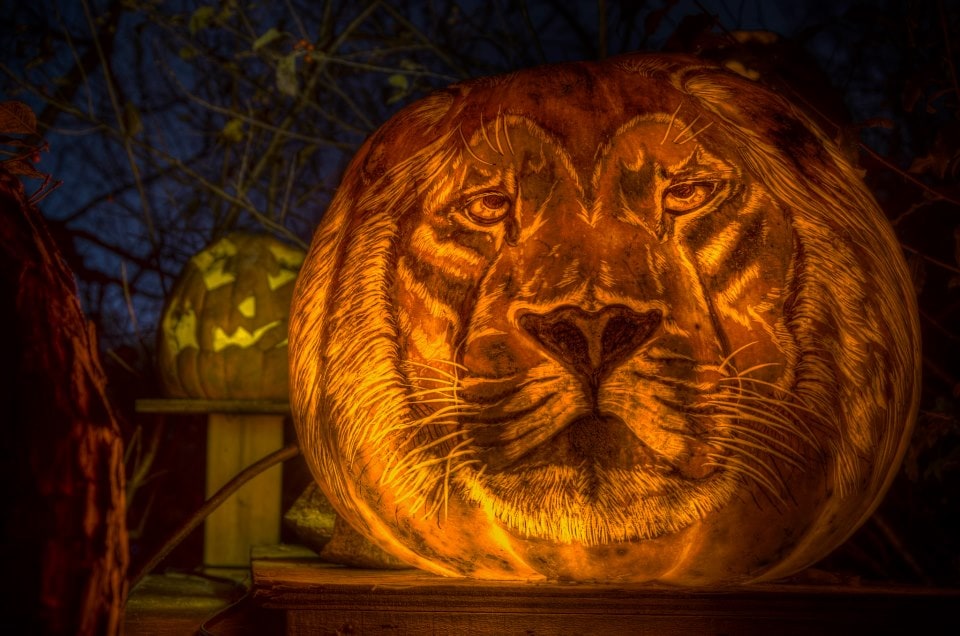 Halloween Pumpkin Art 2013 304384_10151300644772318_646079304_n