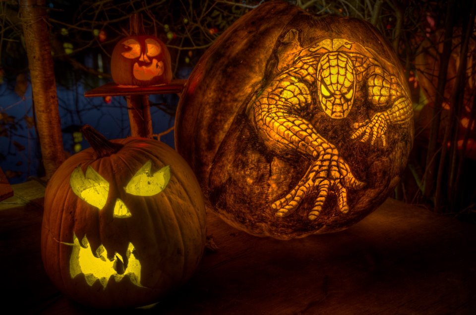 Halloween Pumpkin Art 2013 481752_10151300640237318_754523644_n