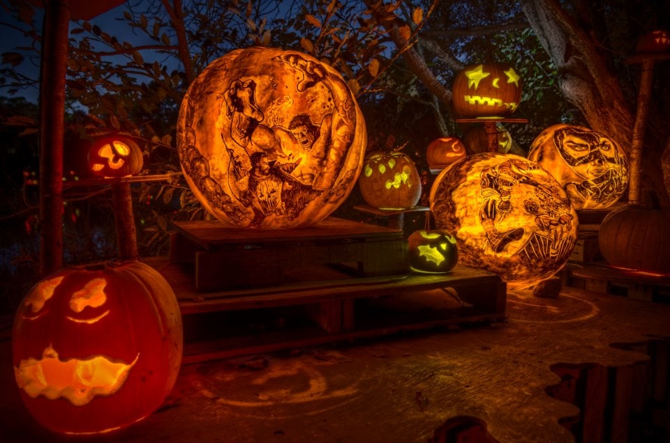 Halloween Pumpkin Art 2013 66269_10151263830497318_273044747_n