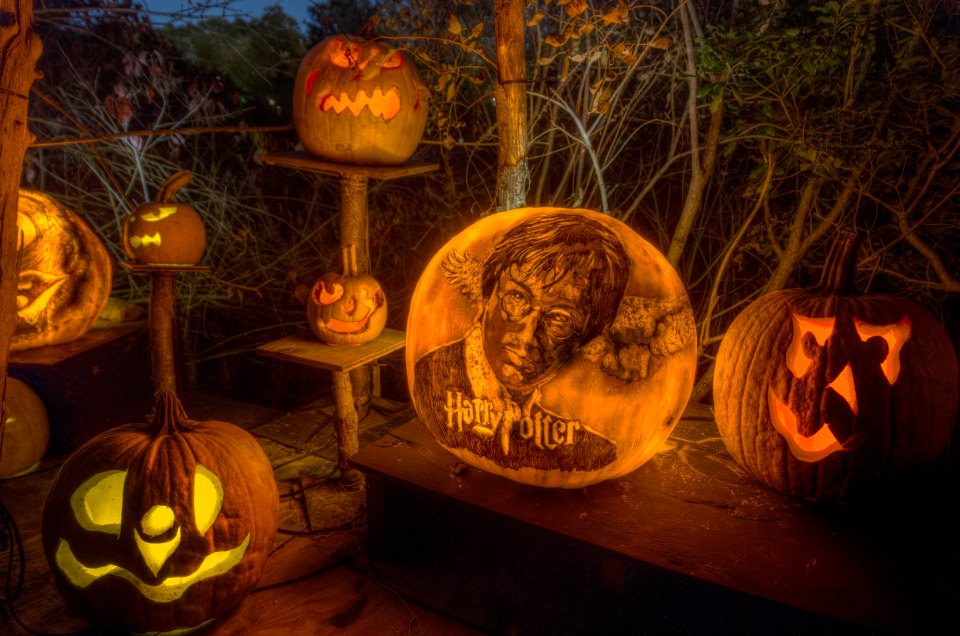 Halloween Pumpkin Art 2013 68297_10151275654057318_1673106738_n