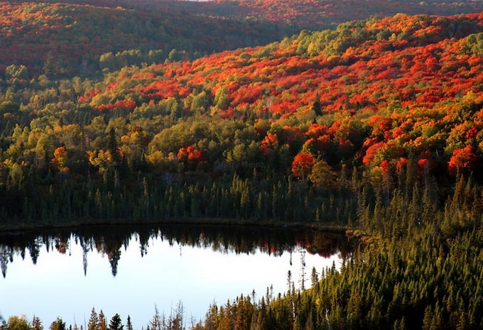 fall color lights up oberg lake