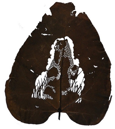 oso-30-cm-x-40-cm-species-catalpa-bignonioides