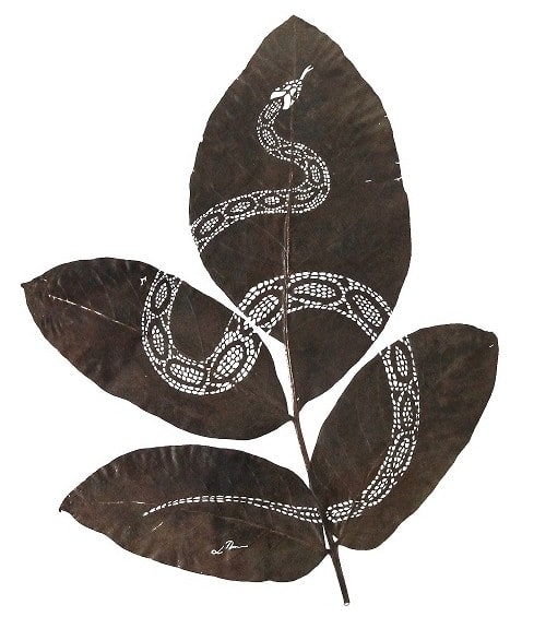 serpiente-ii-30-cm-x-25-cm-species-juglans-regia