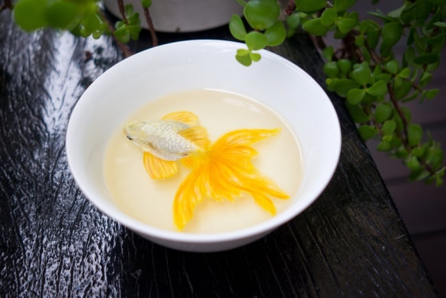 7720205-r3l8t8d-650-goldfish_by_kenglye-d4y5use