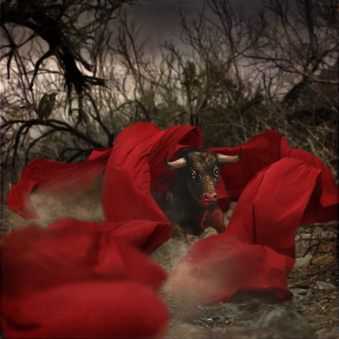 Beautiful surreal photographs by Trini Schultz 8617495290_e430f15614_o