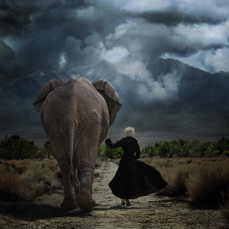 Beautiful surreal photographs by Trini Schultz 8893486105_1f19a02313_o