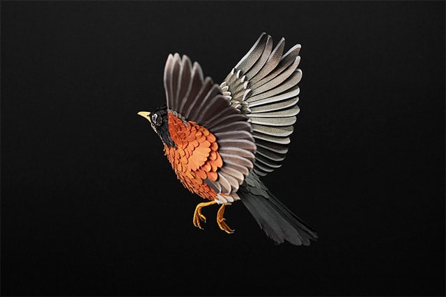 paper-birds-by-diana-beltran-herrera-3