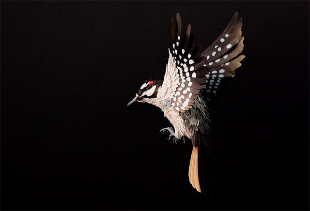 paper-birds-by-diana-beltran-herrera-4