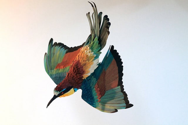 paper-birds-by-diana-beltran-herrera-5
