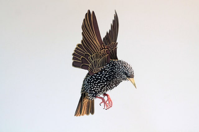 paper-birds-by-diana-beltran-herrera-6