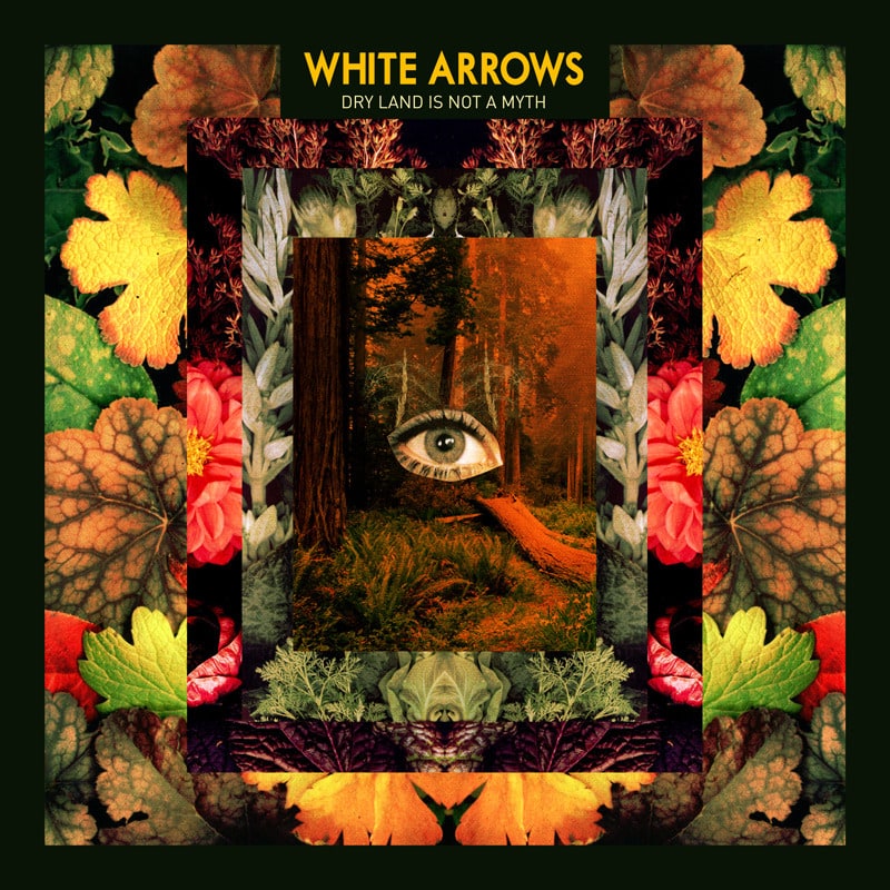 WHITE_ARROWS_cover-800px_800