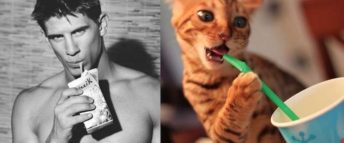 "Men & Cats" in Des Hommes et Des Chatons blog deshommesetdeschatons_01